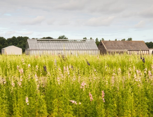 Bestemmingswijziging levert belastbare winst op